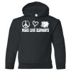 18500B Youth Heavy Blend Hooded Sweatshirt Thumbnail